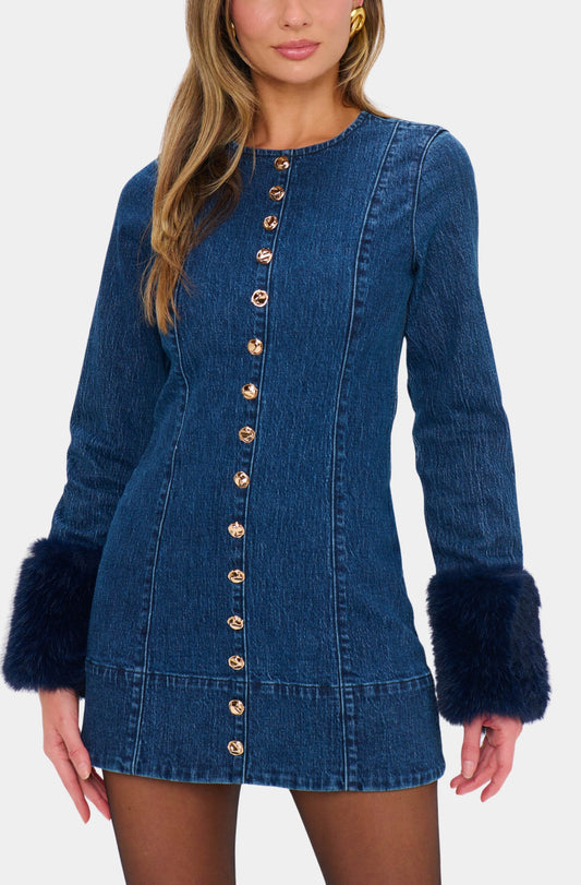 Rockefeller Mini Dress