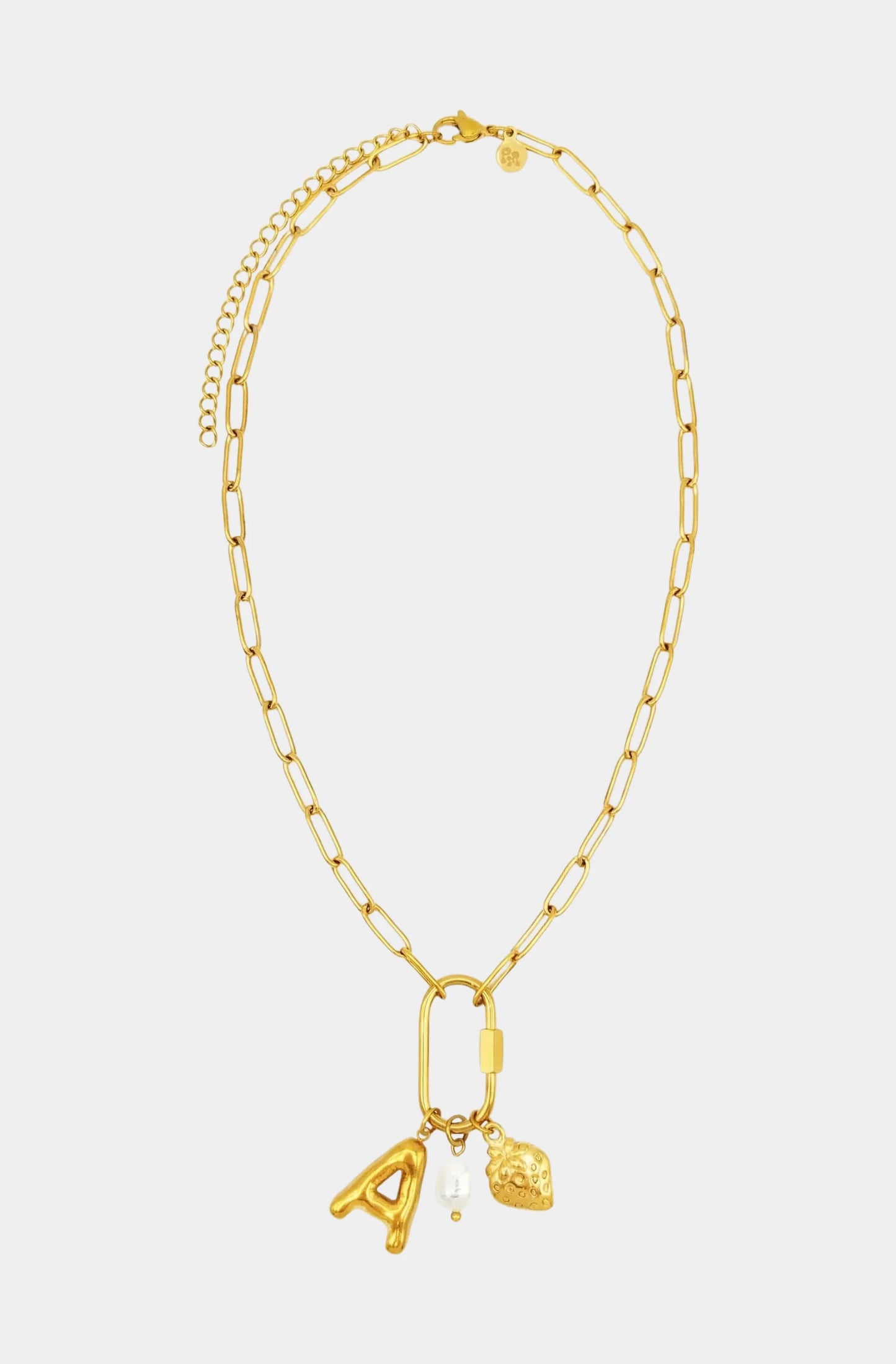 Carabiner Initial Charm Necklace